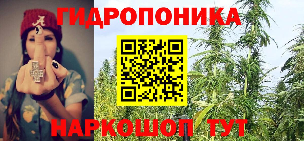 Бошки Шишки планчик Касимов